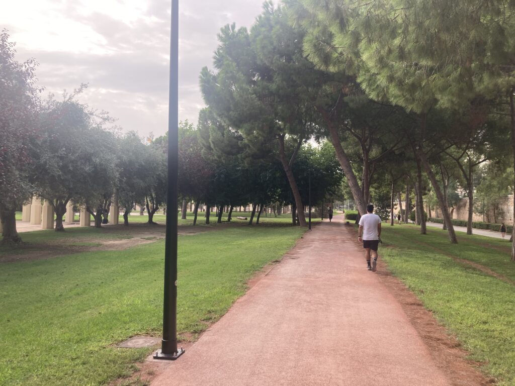 Farola Circuito Running