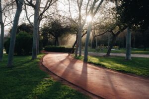 Circuit VCR Pavimento 2026